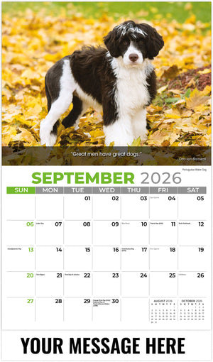 Dogs 2026 September