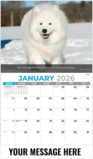 Dogs 2026 January