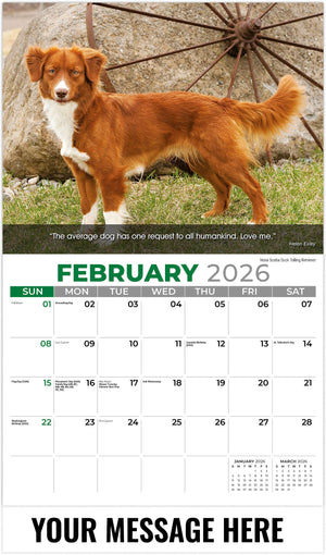 Dogs 2026 February