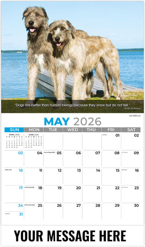 Dogs 2026 May