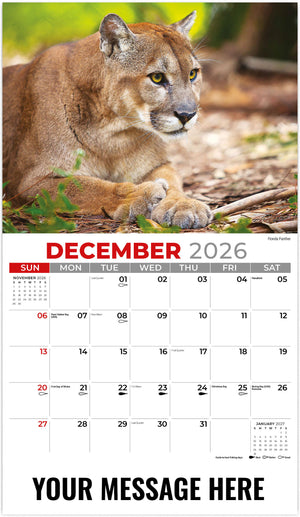 NA-Wildlife 2026 December