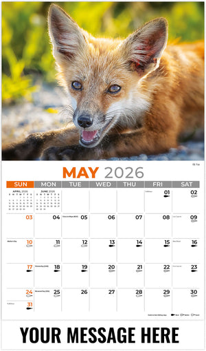 NA-Wildlife 2026 May