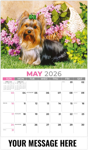 Pets 2026 May