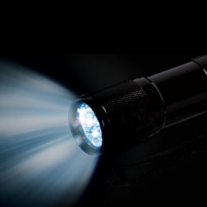 3 3/4" 9 LED Flashlight - Black