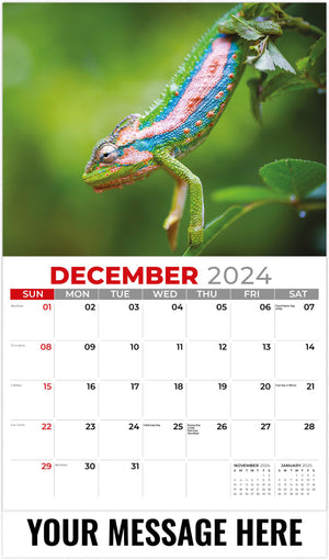 Galleria Pets - 2025 Promotional Calendar