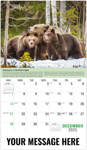 Galleria Planet Earth - 2025 Promotional Calendar