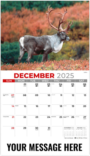 Galleria North American Wildlife - 2025 Promotional Calendar