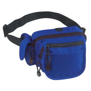 All-In-One Fanny Pack