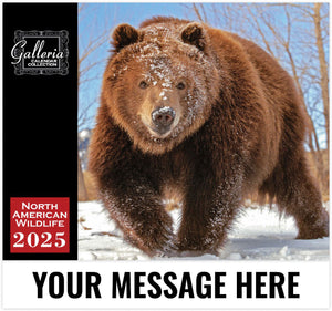 Galleria North American Wildlife - 2025 Promotional Calendar