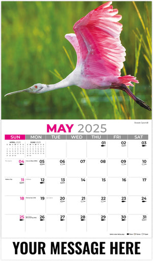 Galleria North American Wildlife - 2025 Promotional Calendar