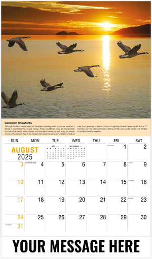 Galleria Planet Earth - 2025 Promotional Calendar