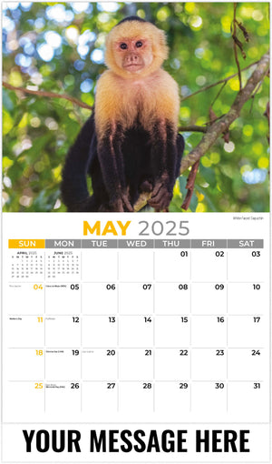 Galleria International Wildlife - 2025 Promotional Calendar