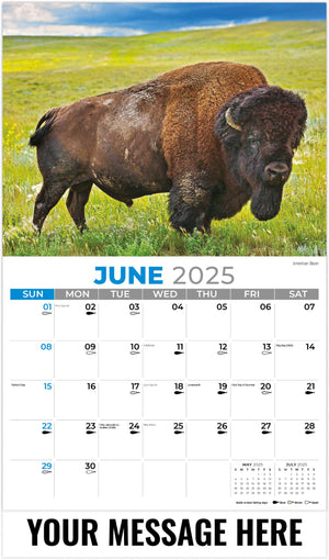 Galleria North American Wildlife - 2025 Promotional Calendar