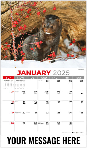 Galleria North American Wildlife - 2025 Promotional Calendar